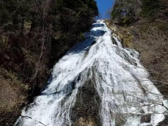 沪江开心词场