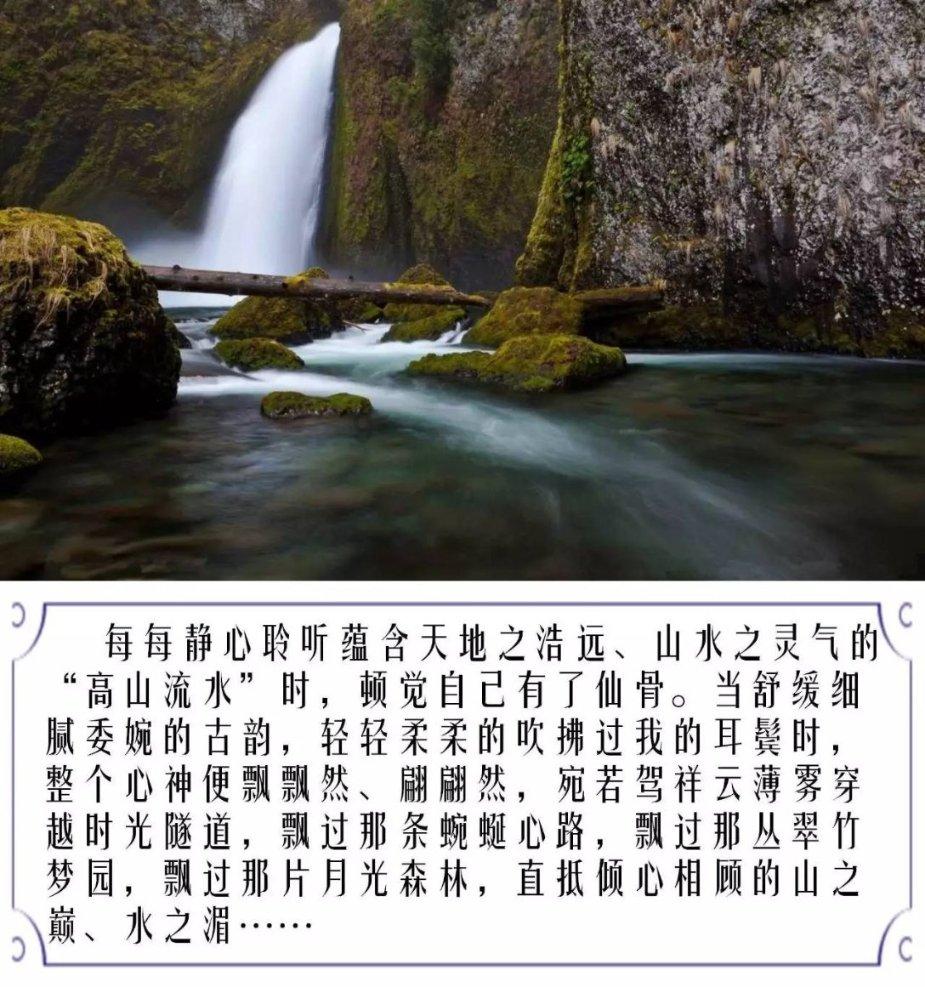 次元喵