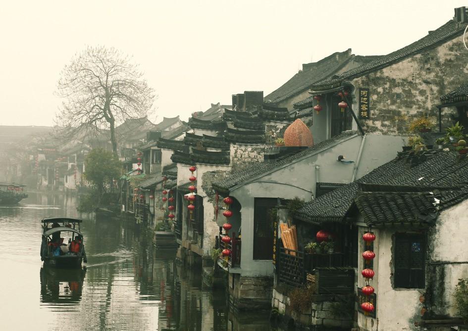 动物帮帮忙保卫家园